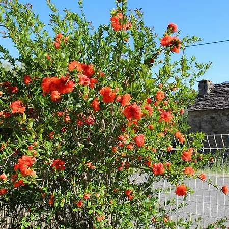 Casa Orani Ponte Leccia
