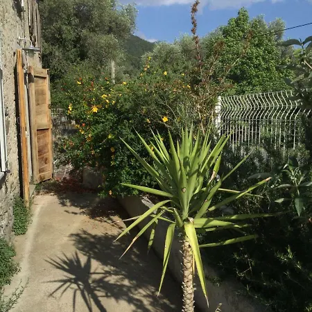 Casa Orani Holiday home *