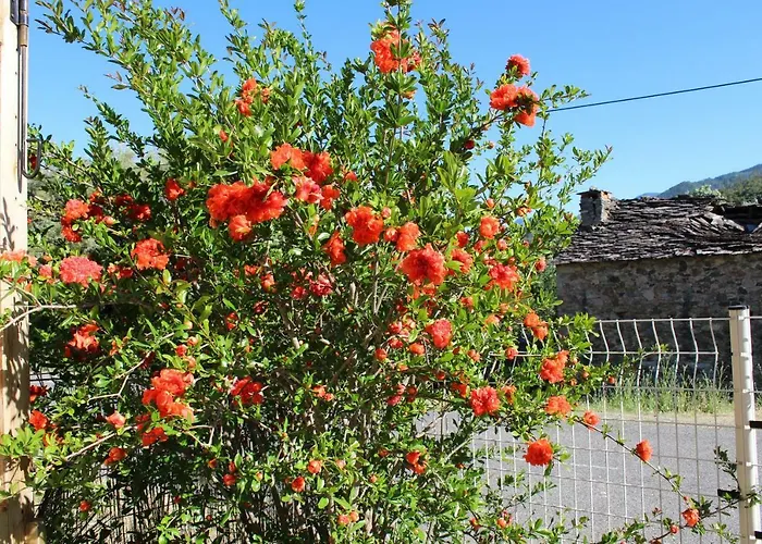 Casa Orani Ponte Leccia